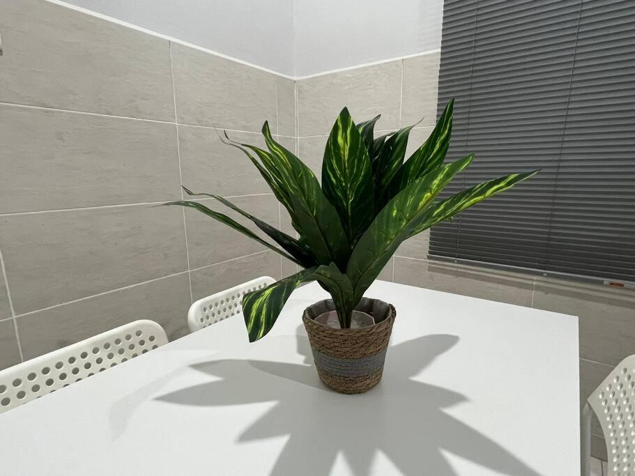 D'Sara Homestay Fully Furnished 3 Bedrooms All Aircond 2 Miles Centre Chukai Eksteriør bilde